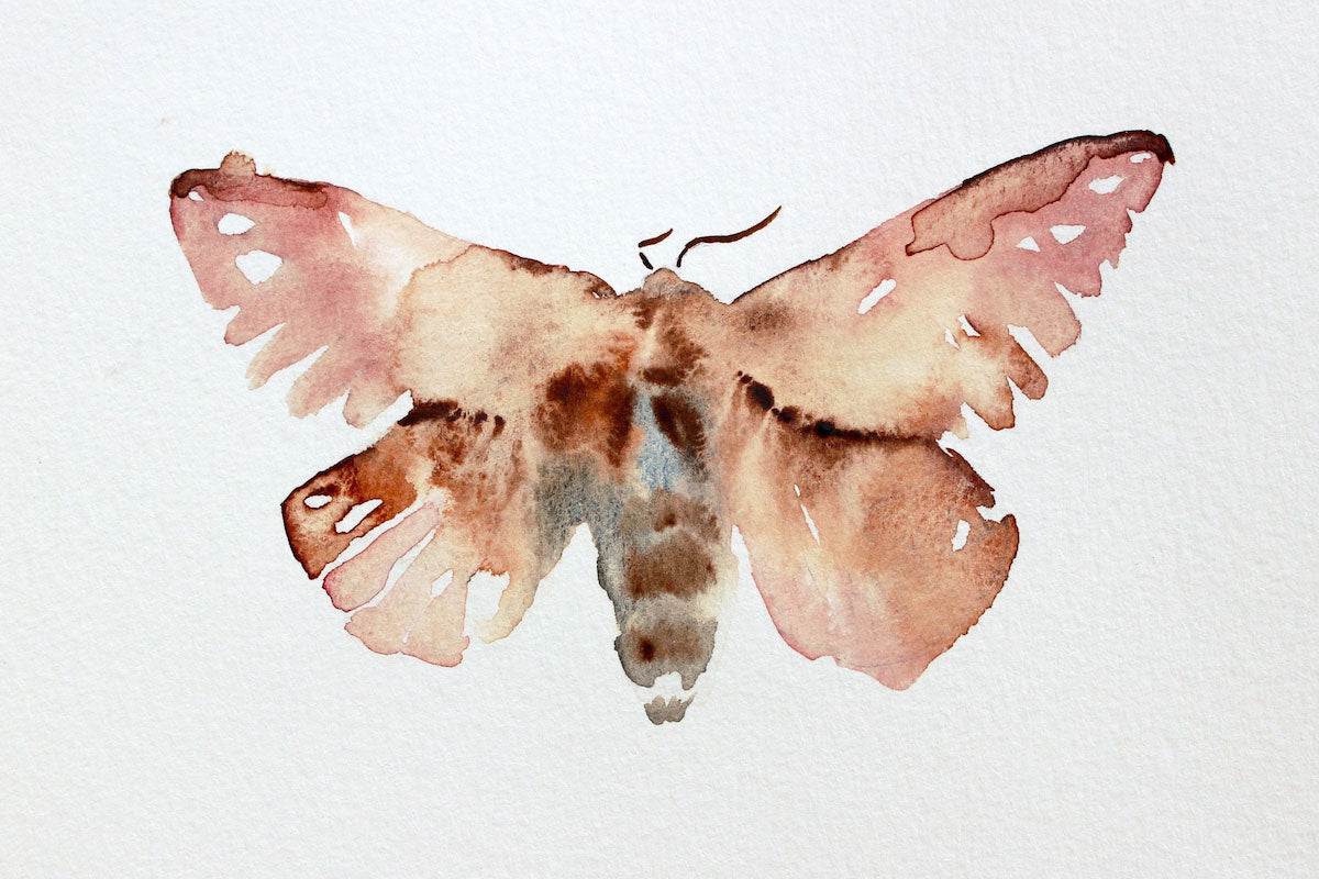 Original A5 Moth Watercolour Painting. Decorative Insect Art. Pencil, Watercolour and Metallic Watercolour authentic On Paper.