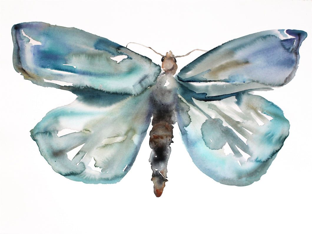Elizabeth Rutt Insects INSECTS & NATURE – Page 3 – Elizabeth Becker Art