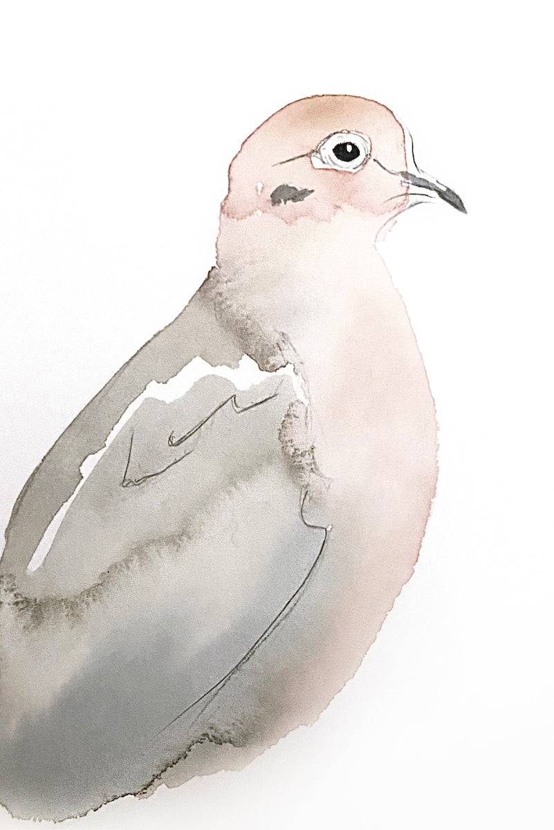 5” x 7” original watercolor wildlife nature mourning dove bird painting in an ethereal, expressive, impressionist, minimalist, modern style by contemporary fine artist Elizabeth Becker