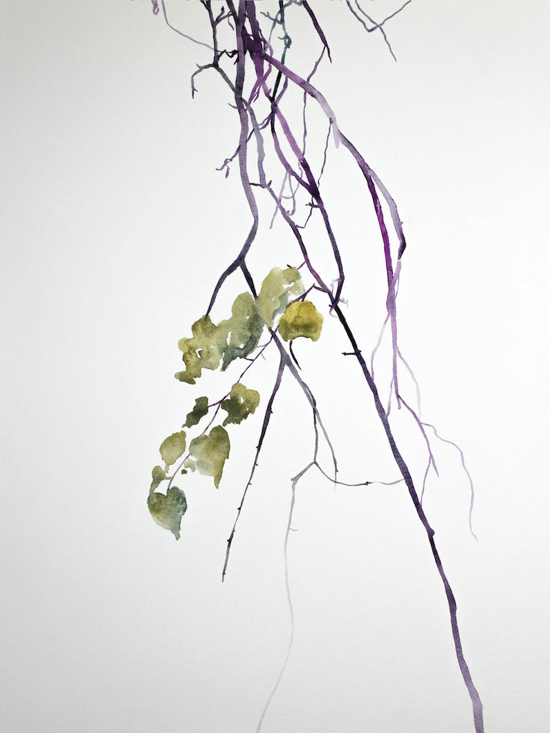 18” x 24” original watercolor botanical nature painting of tree branches and leaves in an expressive, impressionist, minimalist, modern style by contemporary fine artist Elizabeth Becker. Soft green gold, purple and white colors.