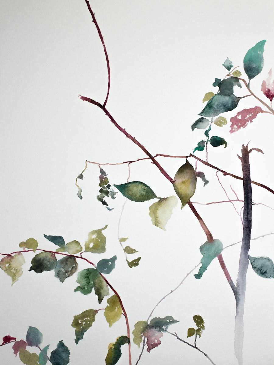 18” x 24” original watercolor botanical nature painting of autumn tree branches and leaves in an expressive, impressionist, minimalist, modern style by contemporary fine artist Elizabeth Becker