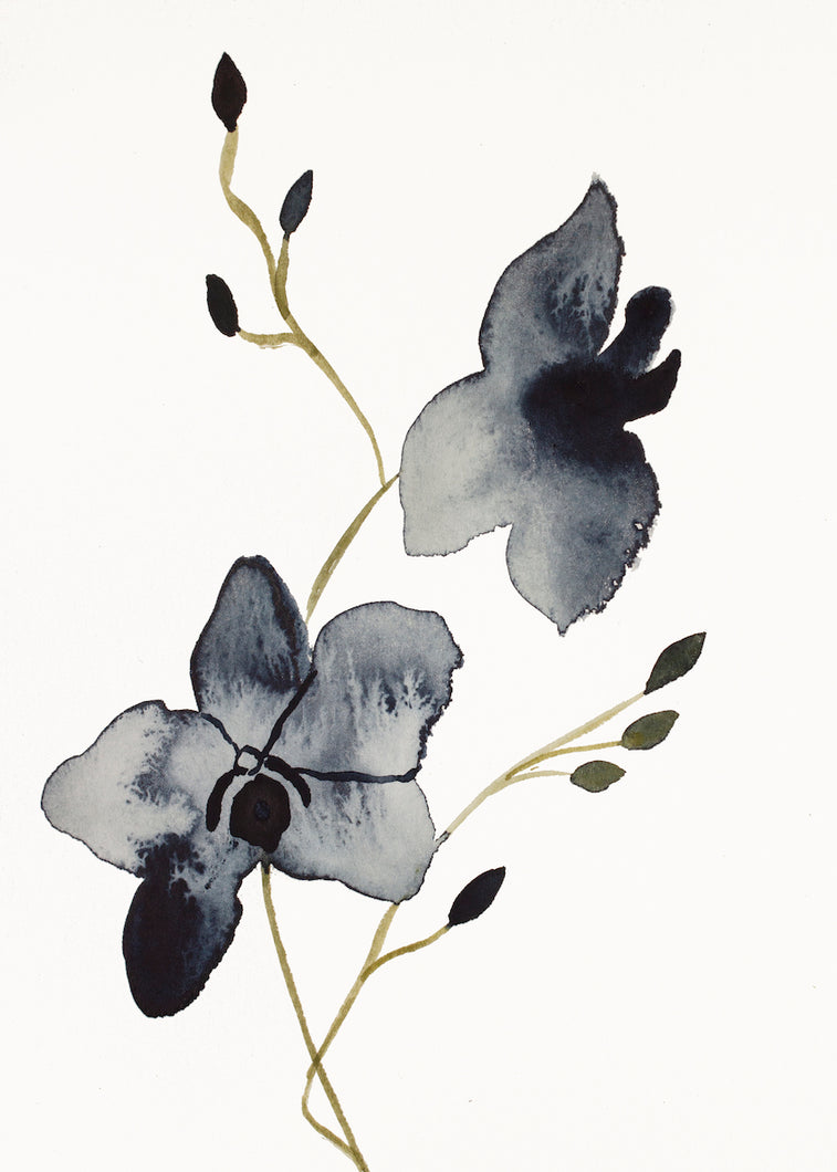 5” x 7” original watercolor botanical floral orchid painting in an expressive, impressionist, minimalist, modern style by contemporary fine artist Elizabeth Becker