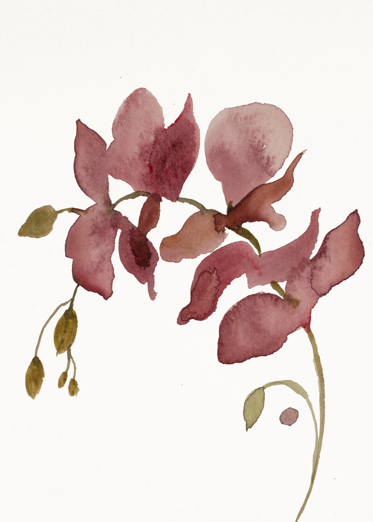 9” x 12” original watercolor botanical floral orchid painting in an expressive, impressionist, minimalist, modern style by contemporary fine artist Elizabeth Becker