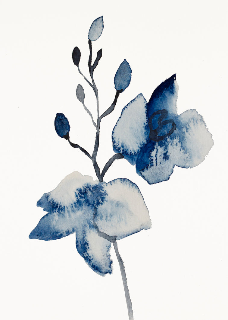 9” x 12” original watercolor botanical floral orchid painting in an expressive, impressionist, minimalist, modern style by contemporary fine artist Elizabeth Becker