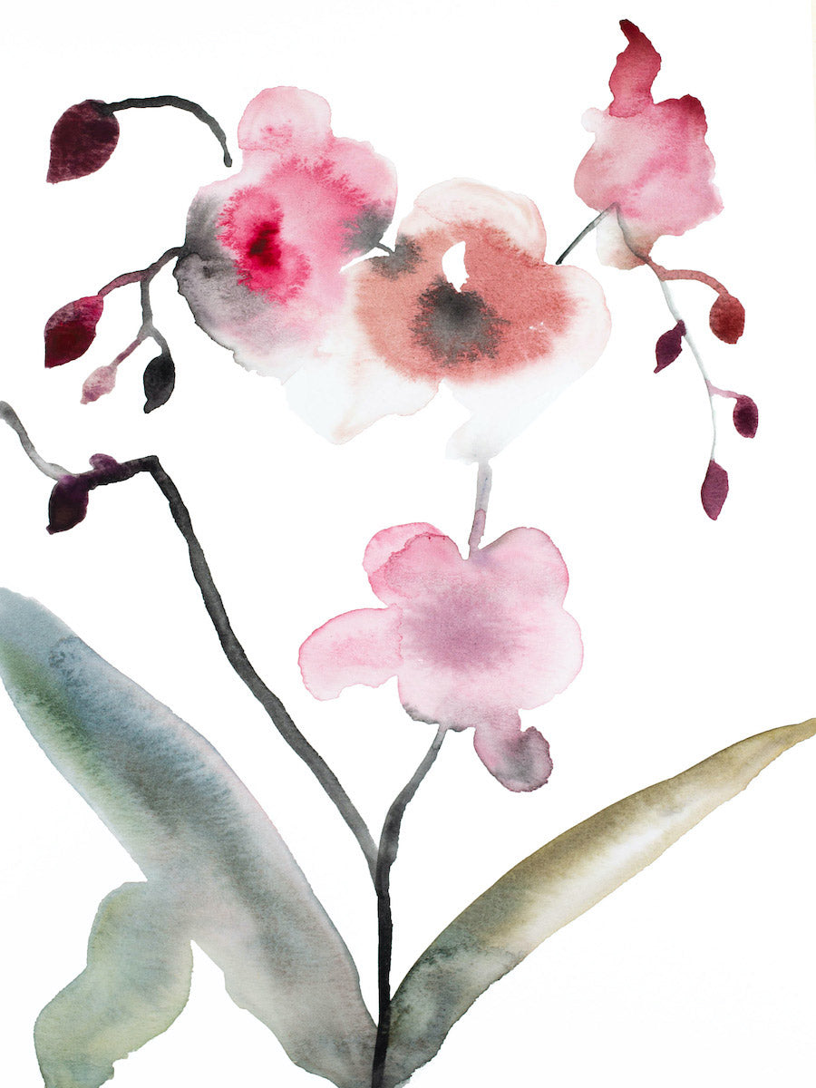 9” x 12” original watercolor botanical floral orchid painting in an expressive, impressionist, minimalist, modern style by contemporary fine artist Elizabeth Becker. Soft pink, peach, green and white colors.