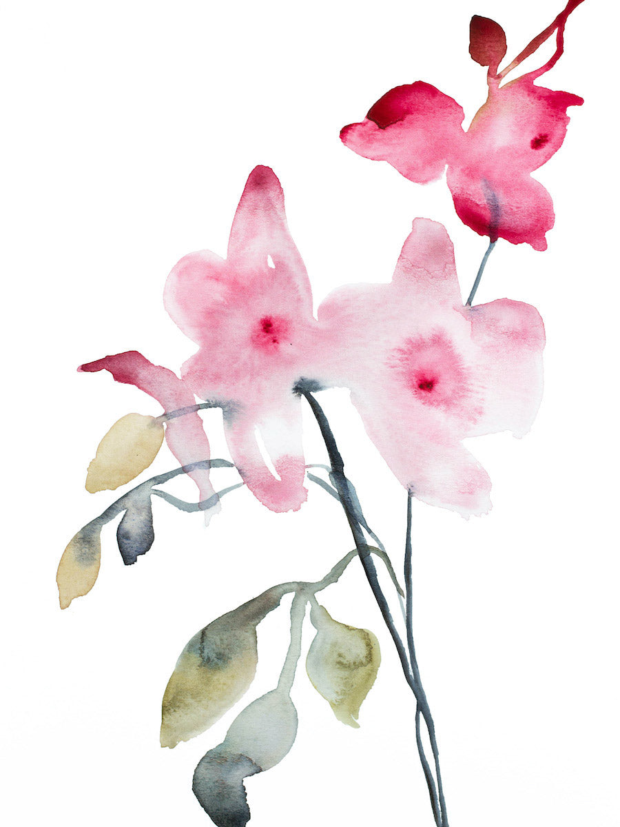 9” x 12” original watercolor botanical floral orchid painting in an expressive, impressionist, minimalist, modern style by contemporary fine artist Elizabeth Becker. Soft pink, green and white colors.