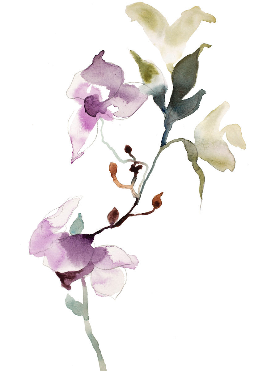 9” x 12” original watercolor botanical floral orchid painting in an expressive, impressionist, minimalist, modern style by contemporary fine artist Elizabeth Becker. Soft purple, green gold and white colors.