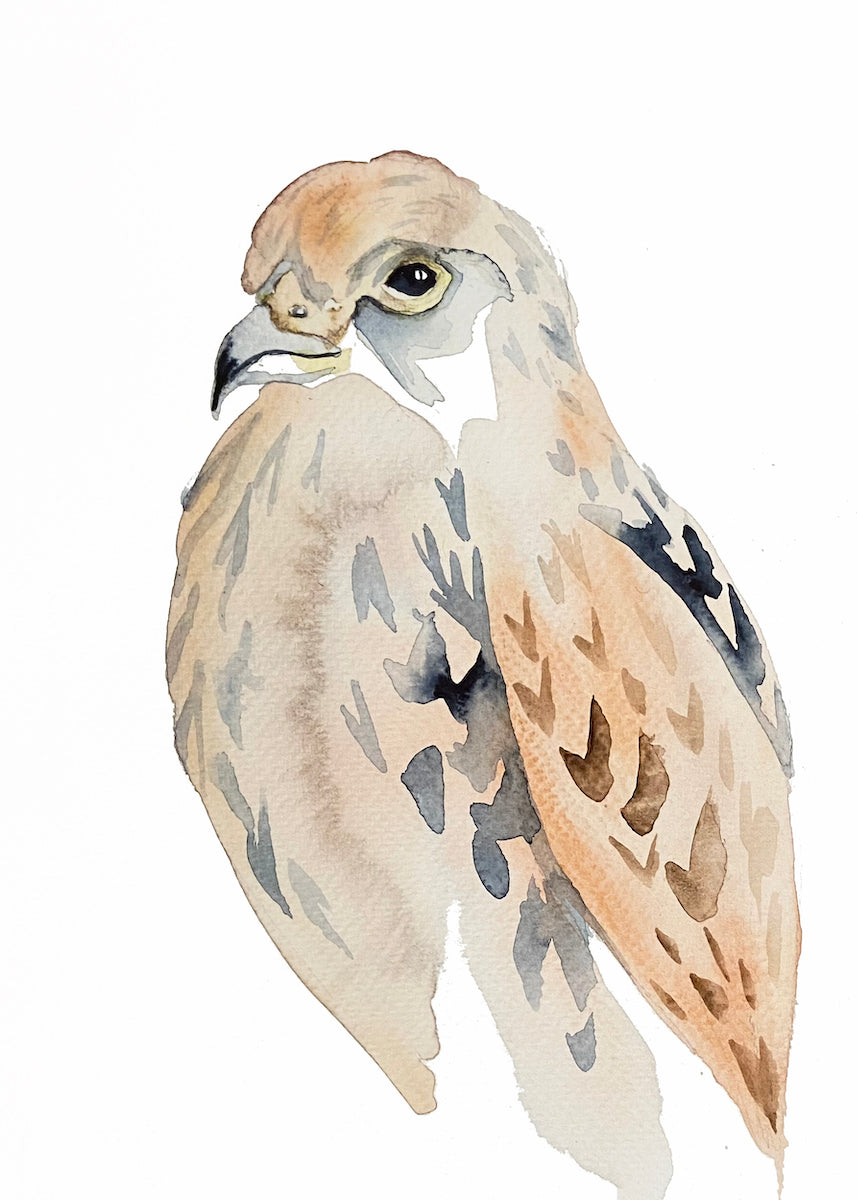 6” x 9” original watercolor wildlife nature peregrine falcon painting in an ethereal, expressive, impressionist, minimalist, modern style by contemporary fine artist Elizabeth Becker