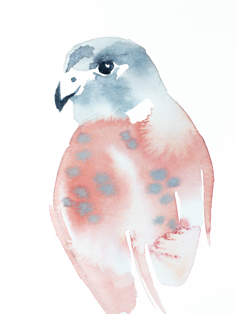 5” x 7” original watercolor wildlife nature peregrine falcon painting in an ethereal, expressive, impressionist, minimalist, modern style by contemporary fine artist Elizabeth Becker