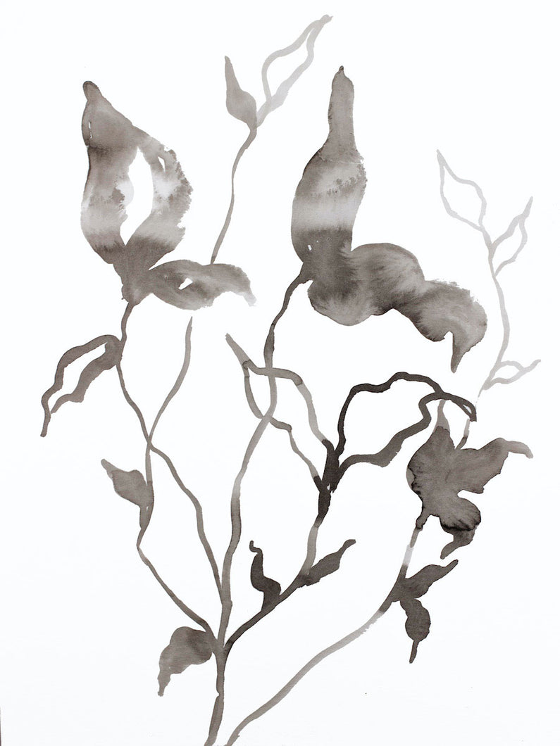 9” x 12” original botanical ink painting of black and white plant in an expressive, impressionist, minimalist, modern style by contemporary fine artist Elizabeth Becker. 