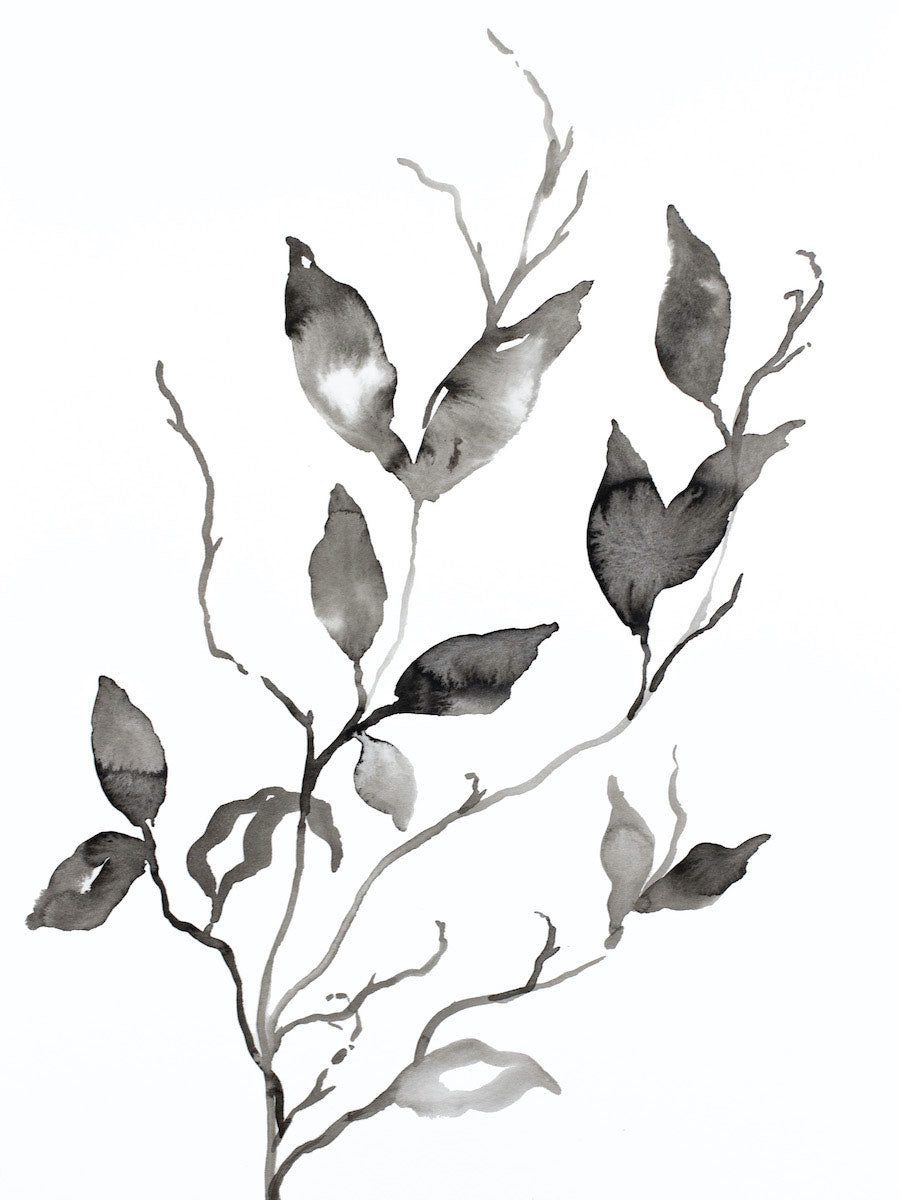 9” x 12” original botanical ink painting of black and white leaves in an expressive, impressionist, minimalist, modern style by contemporary fine artist Elizabeth Becker. 