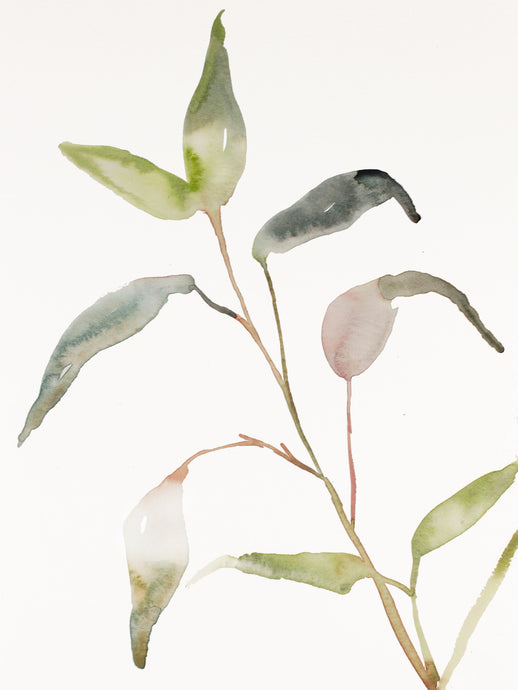 9” x 12” original watercolor botanical nature plant and leaves painting in an expressive, impressionist, minimalist, modern style by contemporary fine artist Elizabeth Becker. Soft muted pale green, gold, peach and white colors.