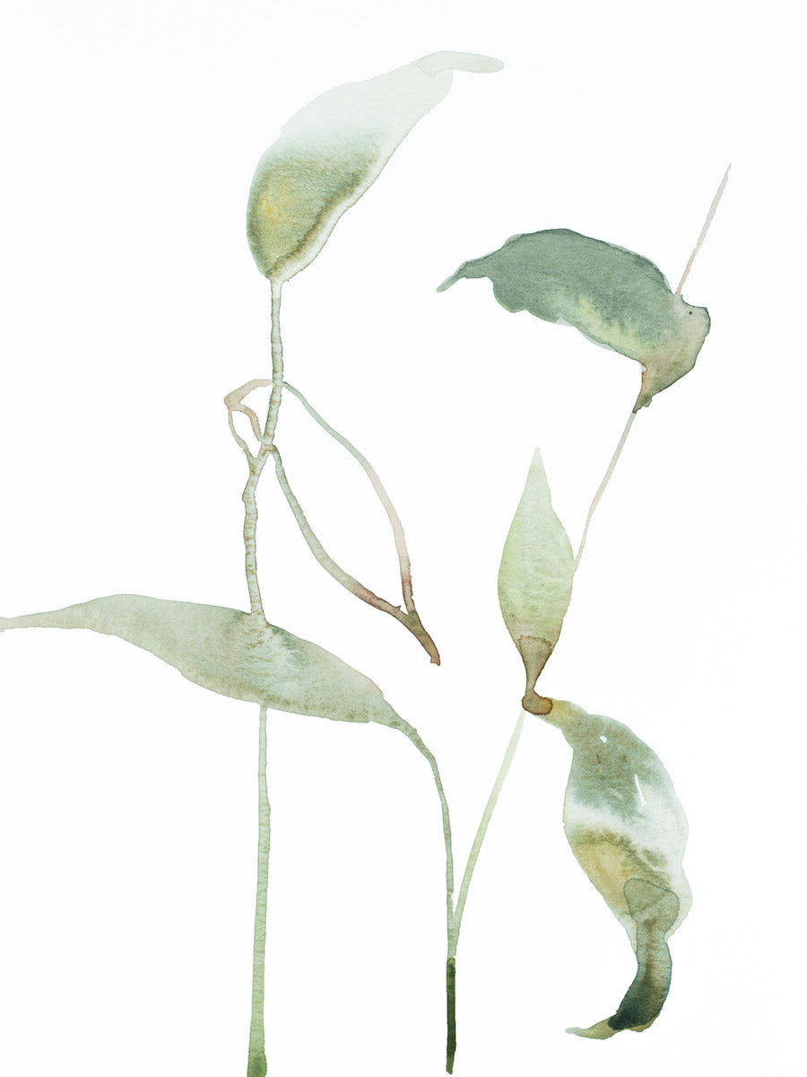 9” x 12” original watercolor botanical nature plant painting of leaves and branches in an expressive, impressionist, minimalist, modern style by contemporary fine artist Elizabeth Becker. Soft green and white colors.