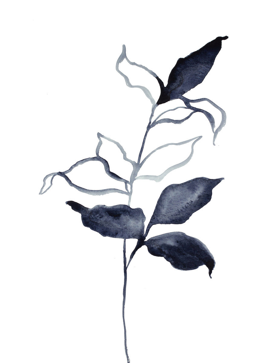 9” x 12” original watercolor botanical nature plant painting of black and white leaves in an expressive, impressionist, minimalist, modern style by contemporary fine artist Elizabeth Becker