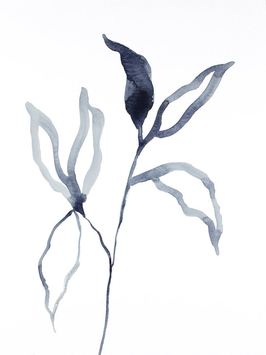 9” x 12” original watercolor botanical nature plant painting of black and white leaves in an expressive, impressionist, minimalist, modern style by contemporary fine artist Elizabeth Becker