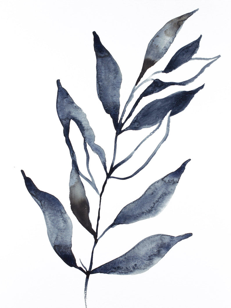 9” x 12” original watercolor botanical nature plant painting of black and white leaves in an expressive, impressionist, minimalist, modern style by contemporary fine artist Elizabeth Becker