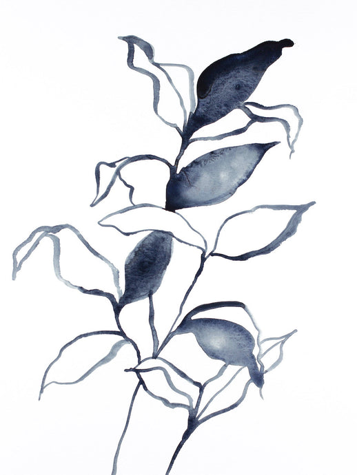 9” x 12” original watercolor botanical nature plant painting of black and white leaves in an expressive, impressionist, minimalist, modern style by contemporary fine artist Elizabeth Becker