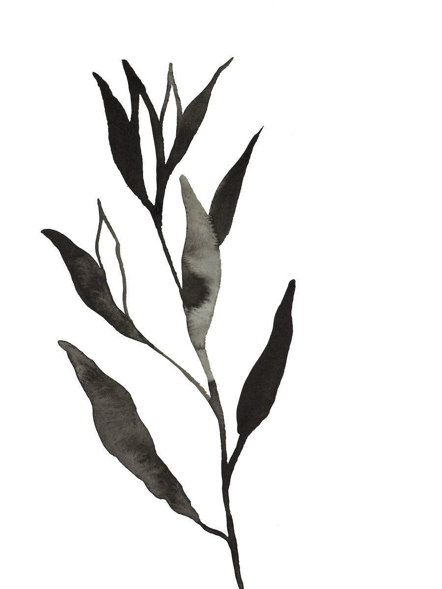 9” x 12” original watercolor botanical nature plant painting of black and white leaves in an expressive, impressionist, minimalist, modern style by contemporary fine artist Elizabeth Becker