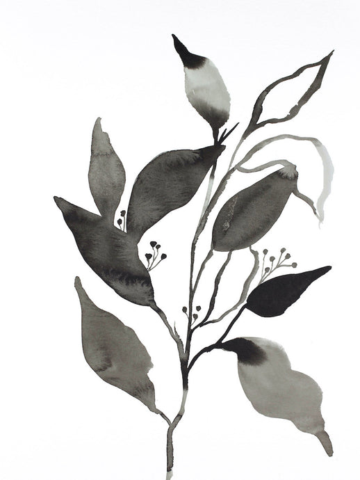 9” x 12” original watercolor botanical nature plant painting of black and white leaves in an expressive, impressionist, minimalist, modern style by contemporary fine artist Elizabeth Becker