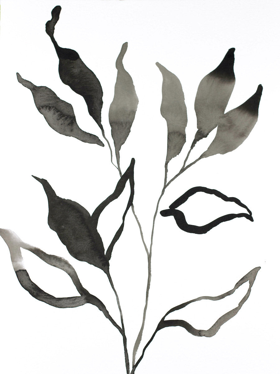 9” x 12” original ink botanical nature plant painting of black and white leaves in an expressive, impressionist, minimalist, modern style by contemporary fine artist Elizabeth Becker