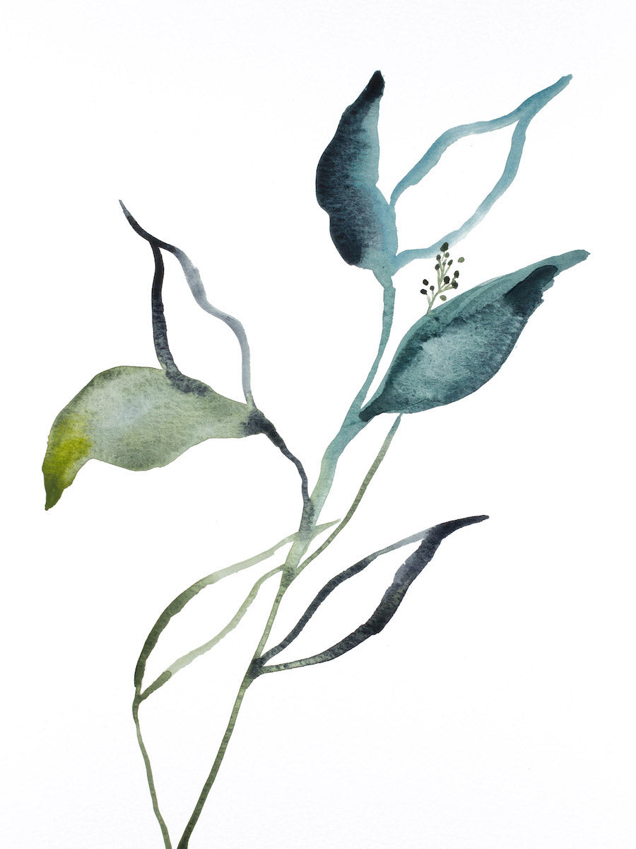 9” x 12” original watercolor botanical nature plant painting in an expressive, impressionist, minimalist, modern style by contemporary fine artist Elizabeth Becker. Blue green, gold and white colors.