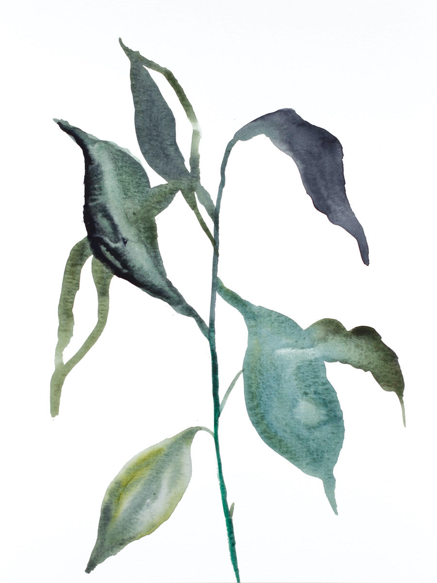 9” x 12” original watercolor botanical nature painting of plant and leaves in an abstract, expressive, impressionist, minimalist, modern style by contemporary fine artist Elizabeth Becker. Soft monochromatic blue green, gold, gray and white colors.
