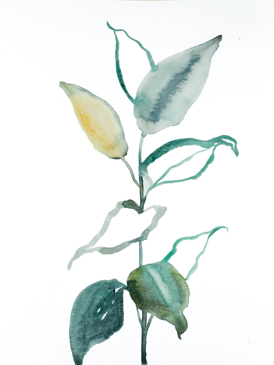 9” x 12” original watercolor botanical nature painting of plant and leaves in an abstract, expressive, impressionist, minimalist, modern style by contemporary fine artist Elizabeth Becker. Soft monochromatic blue green, gold and white colors.