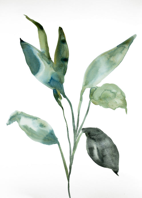 18” x 24” original watercolor botanical nature plant painting in an expressive, impressionist, minimalist, modern style by contemporary fine artist Elizabeth Becker. Soft blue green and white colors. 