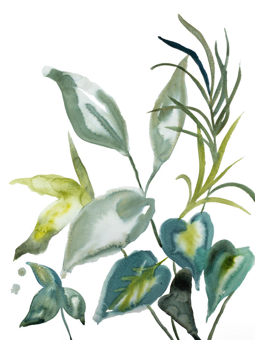 18” x 24” original watercolor botanical nature plant painting in an expressive, impressionist, minimalist, modern style by contemporary fine artist Elizabeth Becker. Soft blue green, gold and white colors.