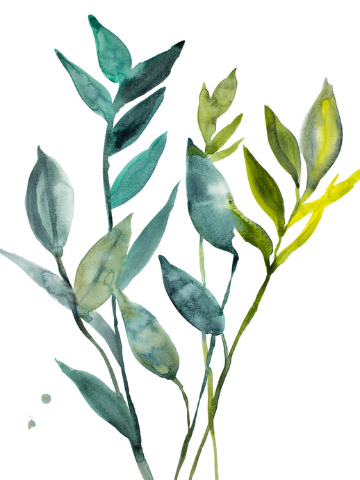 18” x 24” original watercolor botanical nature plant painting in an expressive, impressionist, minimalist, modern style by contemporary fine artist Elizabeth Becker. Soft monochromatic blue green, gold, yellow and white colors.