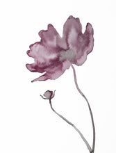 Load image into Gallery viewer, 9” x 12” original botanical poppy flower, floral ink painting in an expressive, impressionist, minimalist, modern style by contemporary fine artist Elizabeth Becker.
