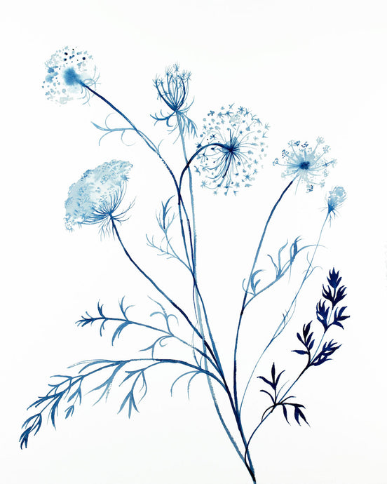 16” x 20” original watercolor queen anne's lace botanical wildflower painting in an expressive, impressionist, minimalist, modern style by contemporary fine artist Elizabeth Becker
