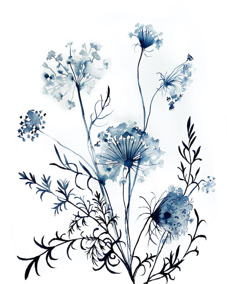16” x 20” original watercolor queen anne's lace botanical wildflower painting in an expressive, impressionist, minimalist, modern style by contemporary fine artist Elizabeth Becker. Monochromatic blue and white colors.