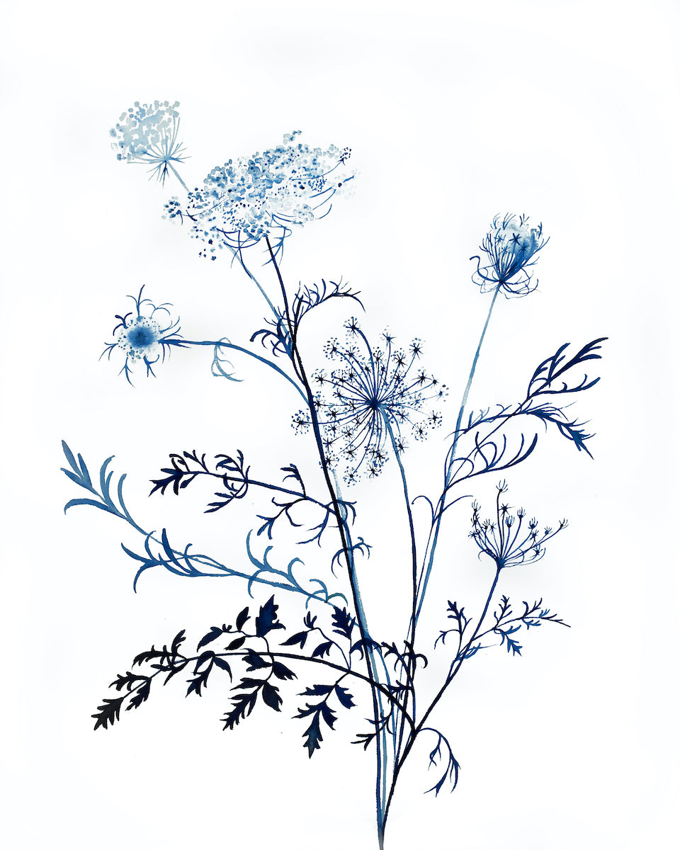 16” x 20” original watercolor queen anne's lace botanical wildflower painting in an expressive, impressionist, minimalist, modern style by contemporary fine artist Elizabeth Becker. Soft and deep monochromatic blue and white colors.