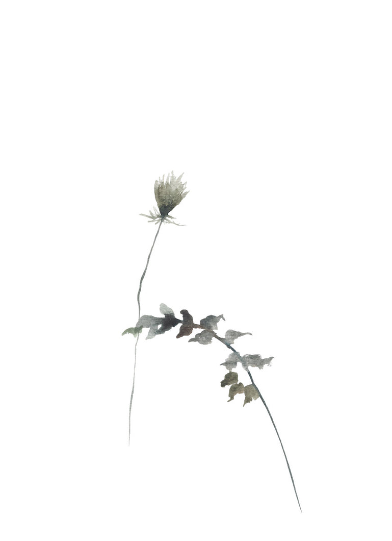 9” x 12” original watercolor botanical queen anne's lace wildflower painting in an ethereal, expressive, impressionist, minimalist, modern style by contemporary fine artist Elizabeth Becker. Soft green, gold, gray and white colors.