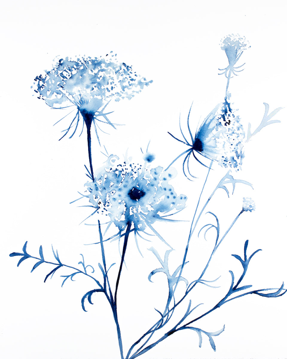 16” x 20” original watercolor queen anne's lace botanical wildflower painting in an expressive, impressionist, minimalist, modern style by contemporary fine artist Elizabeth Becker. Soft monochromatic blue and white colors.