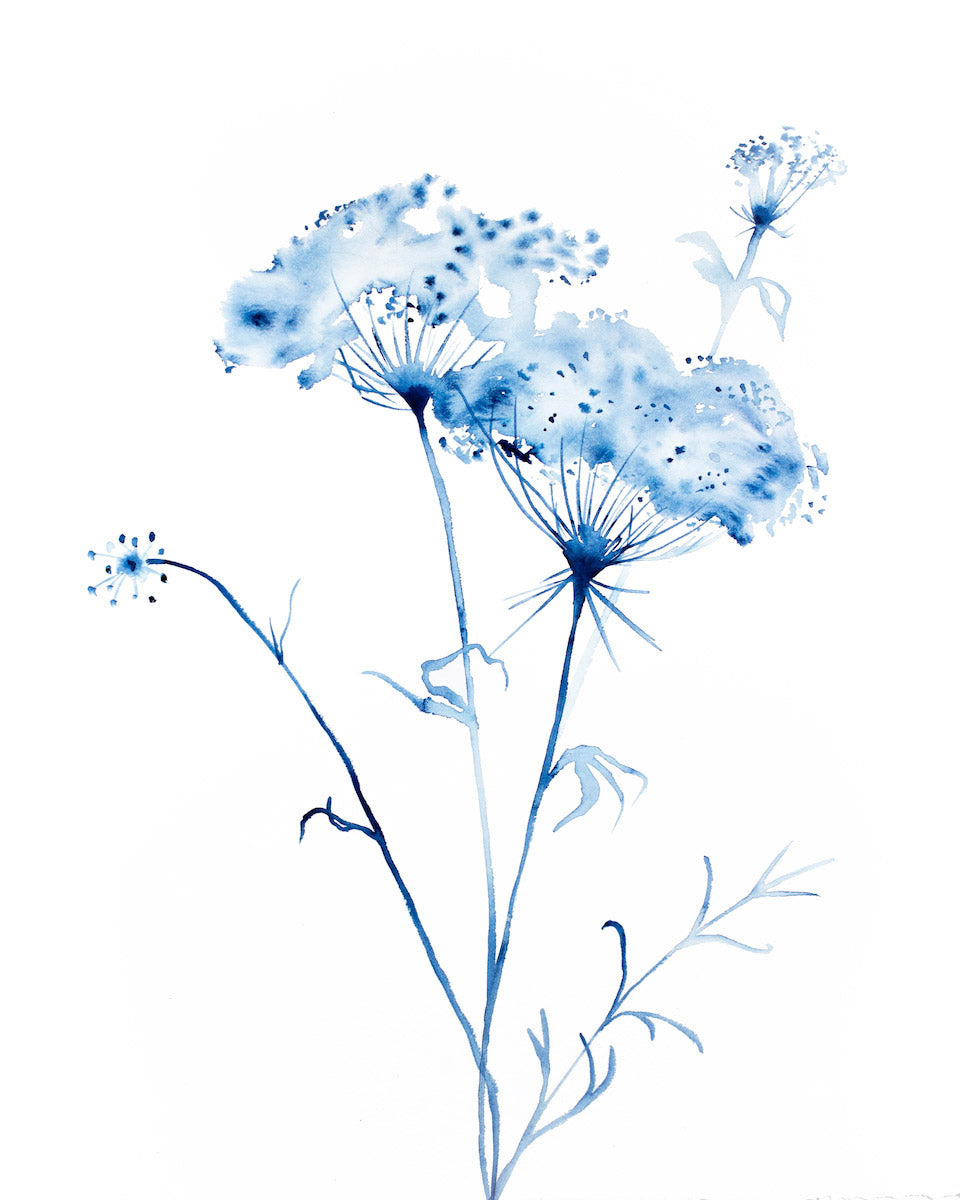 16” x 20” original watercolor queen anne's lace botanical wildflower painting in an expressive, impressionist, minimalist, modern style by contemporary fine artist Elizabeth Becker. Monochromatic soft blue and white colors.