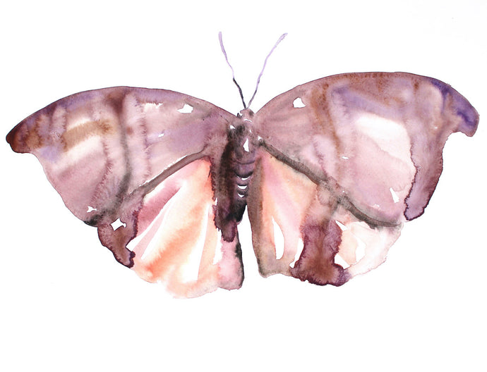 18” x 24” original watercolor butterfly painting in an expressive, impressionist, minimalist, modern style by contemporary fine artist Elizabeth Becker. Soft monochromatic pink, peach, mauve purple and white colors.