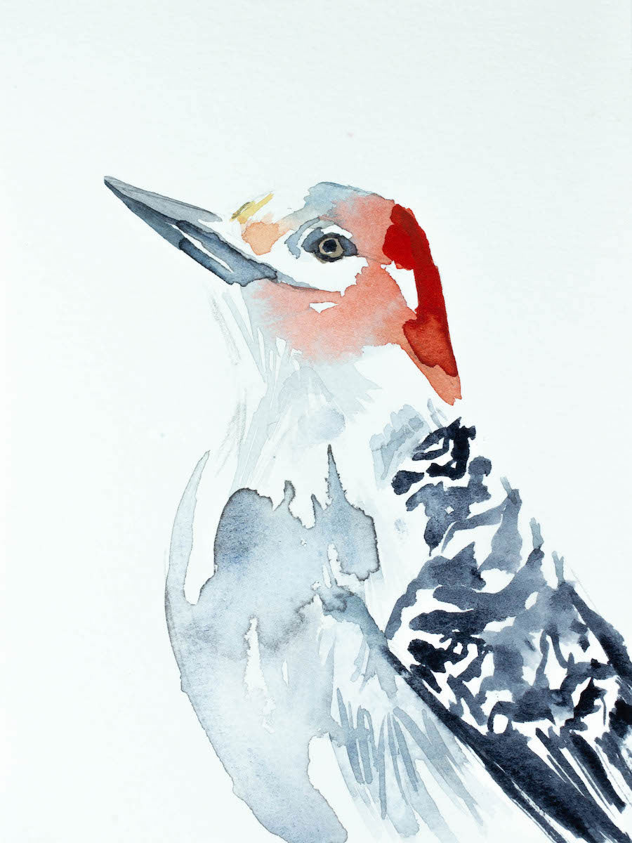 4” x 6” original watercolor wildlife nature red-bellied woodpecker woodland bird painting in an ethereal, expressive, impressionist, minimalist, modern style by contemporary fine artist Elizabeth Becker. Soft red, gray, black and white colors.