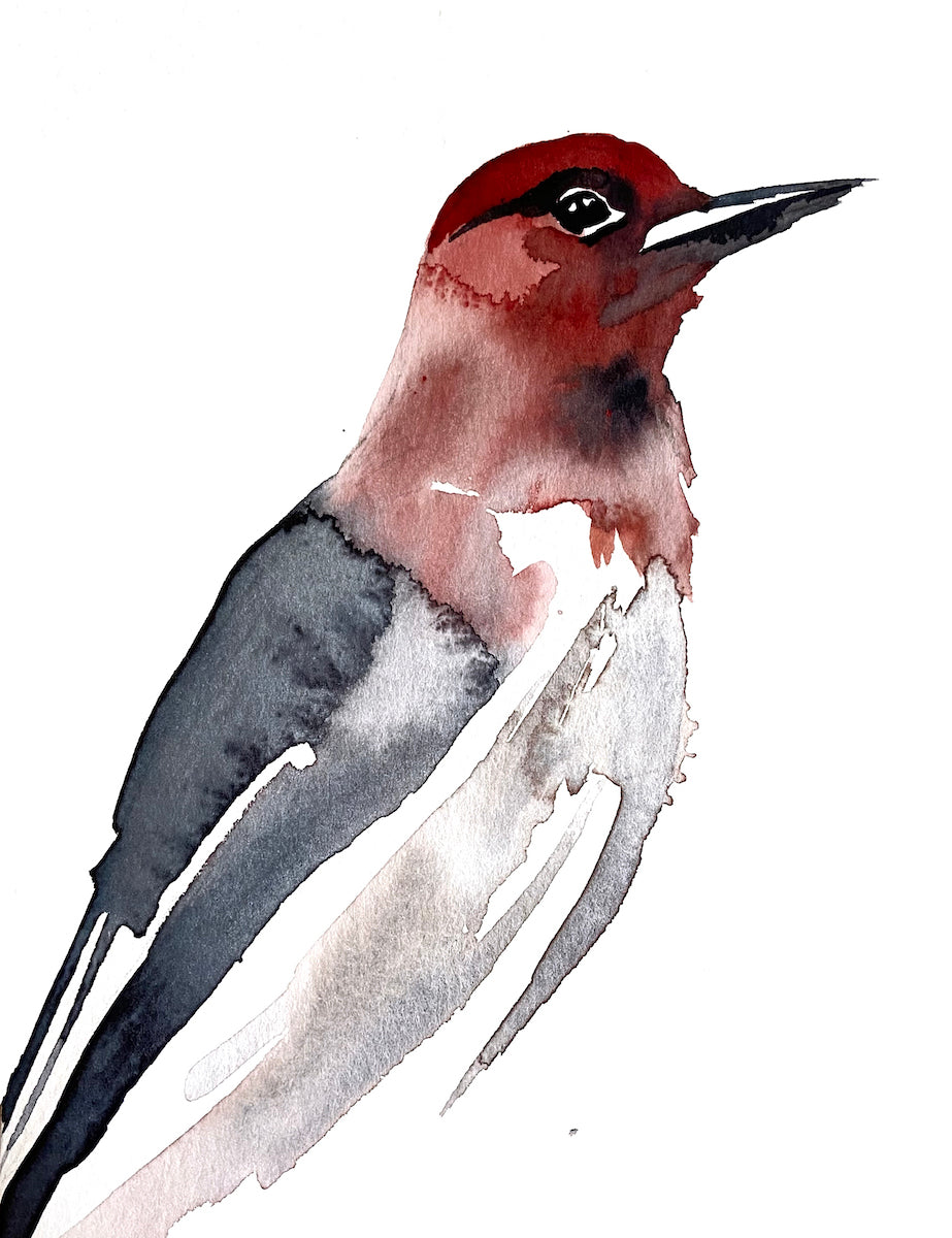 5” x 7” original watercolor wildlife nature woodpecker painting in an ethereal, expressive, impressionist, minimalist, modern style by contemporary fine artist Elizabeth Becker
