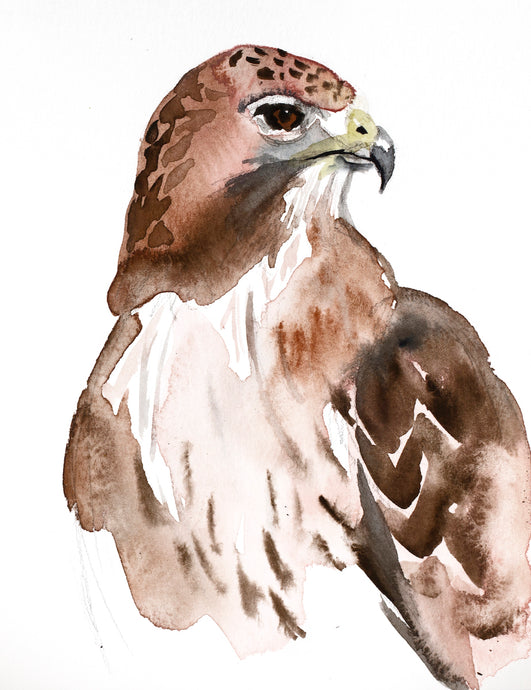 5” x 7” original watercolor wildlife nature hawk painting in an ethereal, expressive, impressionist, minimalist, modern style by contemporary fine artist Elizabeth Becker