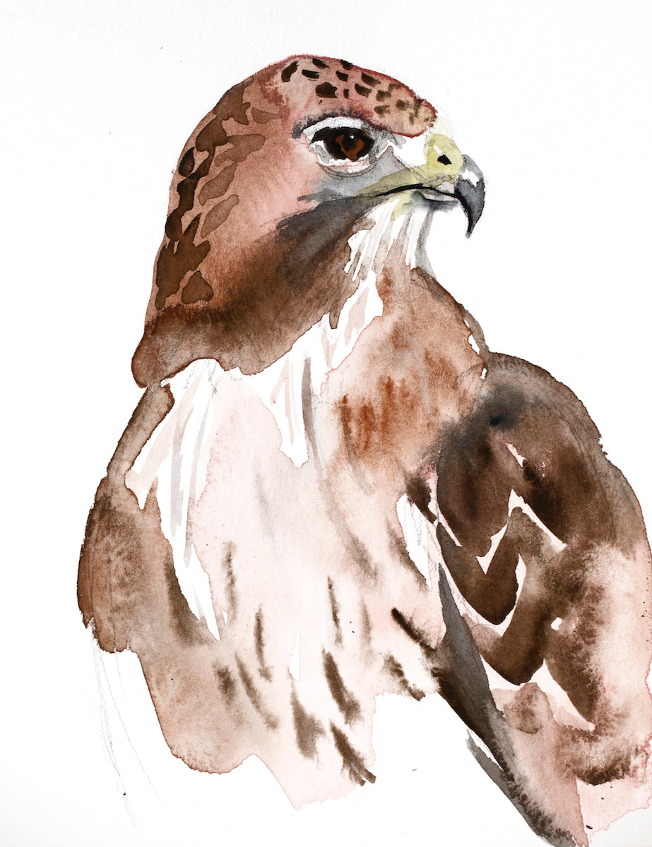 5” x 7” original watercolor wildlife nature hawk painting in an ethereal, expressive, impressionist, minimalist, modern style by contemporary fine artist Elizabeth Becker