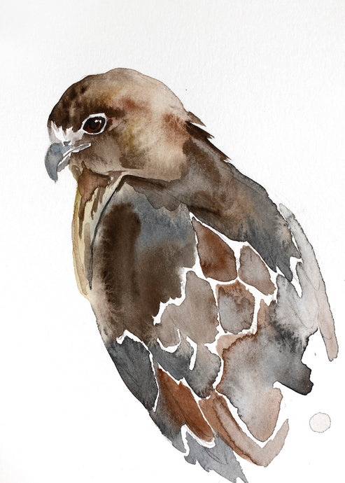 5” x 7” original watercolor wildlife nature red-tailed hawk painting in an ethereal, expressive, impressionist, minimalist, modern style by contemporary fine artist Elizabeth Becker