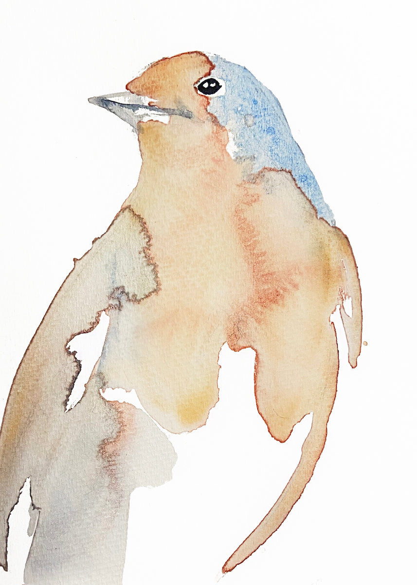 5” x 7” original watercolor wildlife nature robin bird painting in an ethereal, expressive, impressionist, minimalist, modern style by contemporary fine artist Elizabeth Becker