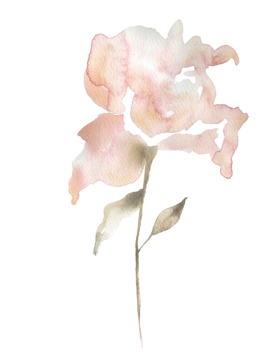 9” x 12” original watercolor botanical floral rose painting in an ethereal, expressive, impressionist, minimalist, modern style by contemporary fine artist Elizabeth Becker. Soft peach, pale pink, olive green and white colors.
