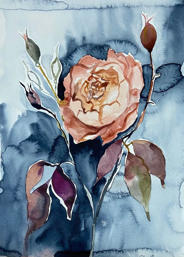 11” x 15” original watercolor botanical rose floral painting in an expressive, impressionist, minimalist, modern style by contemporary fine artist Elizabeth Becker