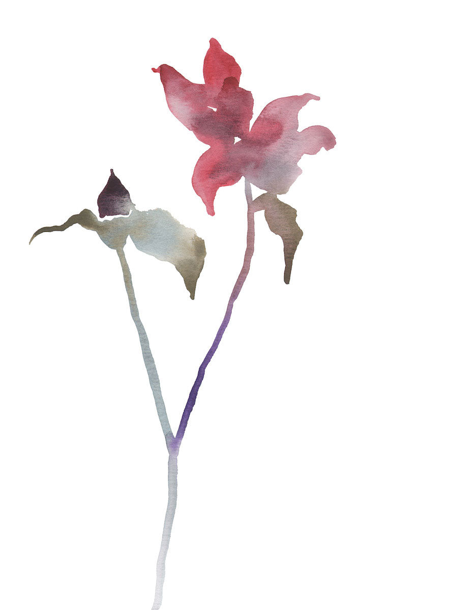 9” x 12” original watercolor botanical floral rose bud painting in an ethereal, expressive, impressionist, minimalist, modern style by contemporary fine artist Elizabeth Becker. Soft red, pink, purple, olive, blue green and white colors.