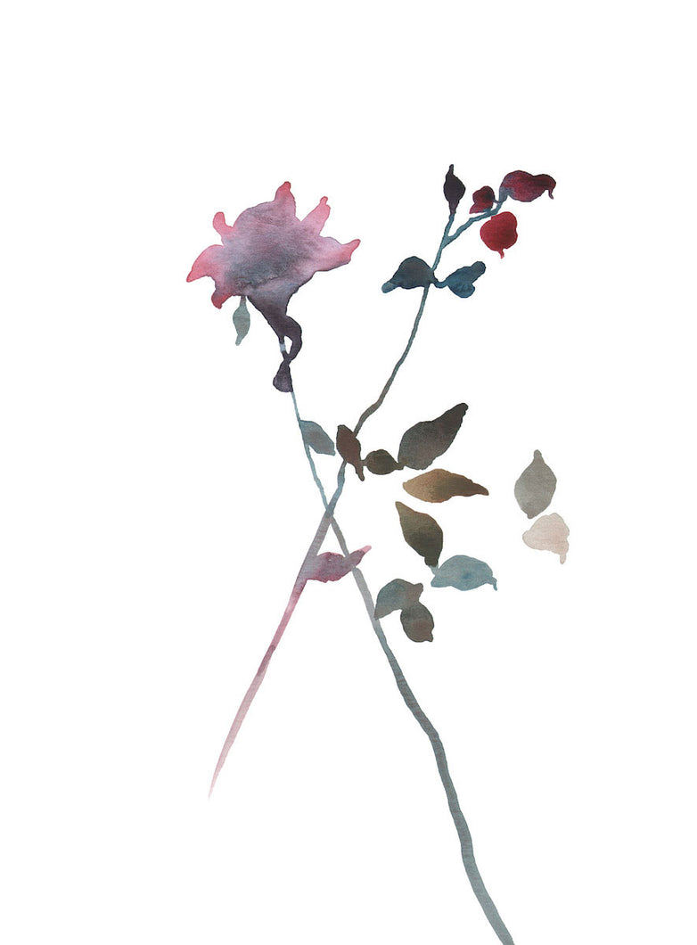 9” x 12” original watercolor botanical floral rose bud painting in an ethereal, expressive, impressionist, minimalist, modern style by contemporary fine artist Elizabeth Becker. Soft pink, deep red, blue green and white colors.