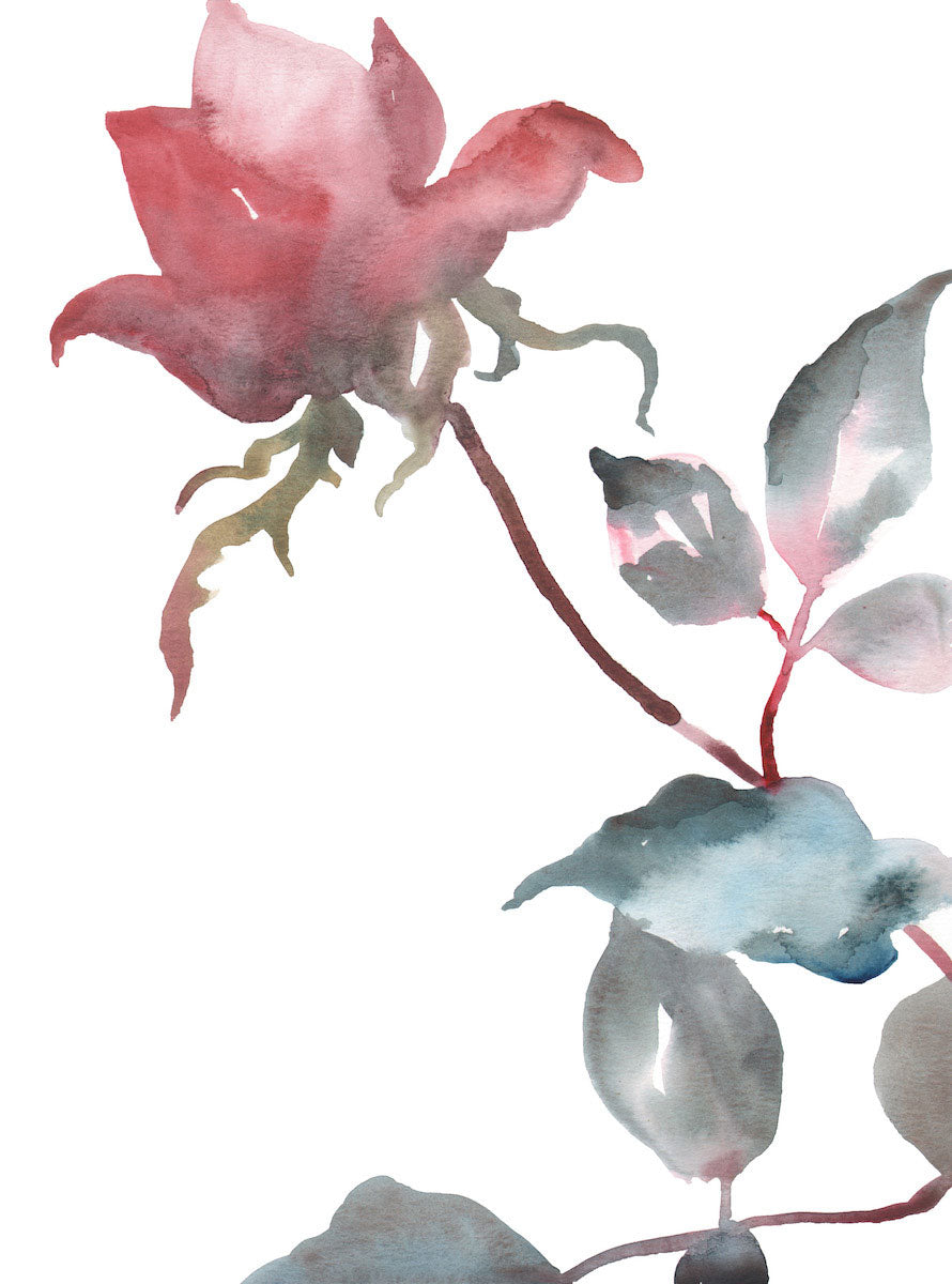 9” x 12” original watercolor botanical floral rose bud painting in an ethereal, expressive, impressionist, minimalist, modern style by contemporary fine artist Elizabeth Becker. Soft red, light pink, blue green and white colors.