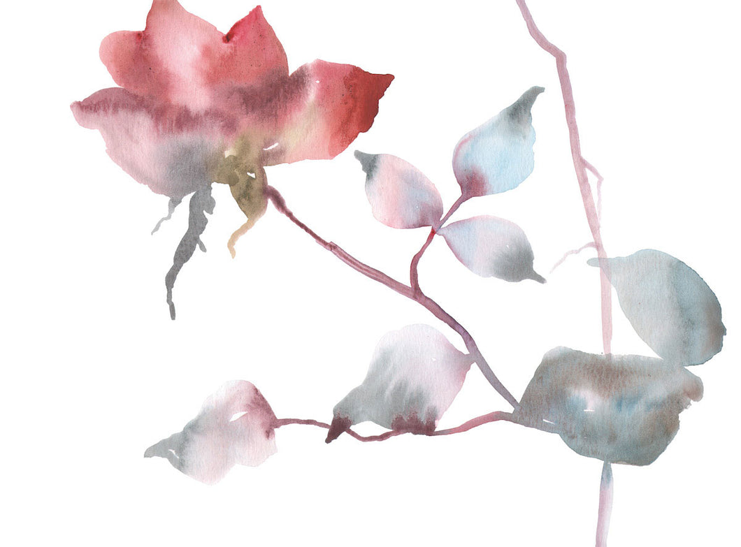 9” x 12” original watercolor botanical floral rose bud painting in an ethereal, expressive, impressionist, minimalist, modern style by contemporary fine artist Elizabeth Becker. Soft red, light pink, pale blue green, mauve purple and white colors.